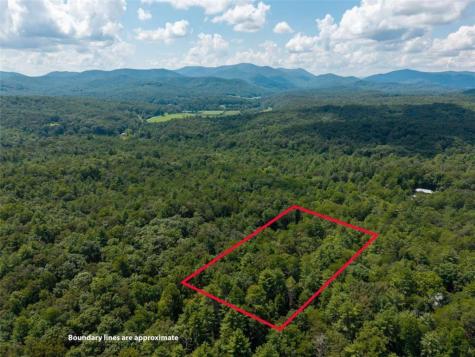 46 Gooseberry Trail Blue Ridge GA 30513