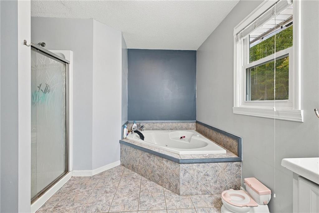 50 Pond Mill Court Silver Creek GA 30173