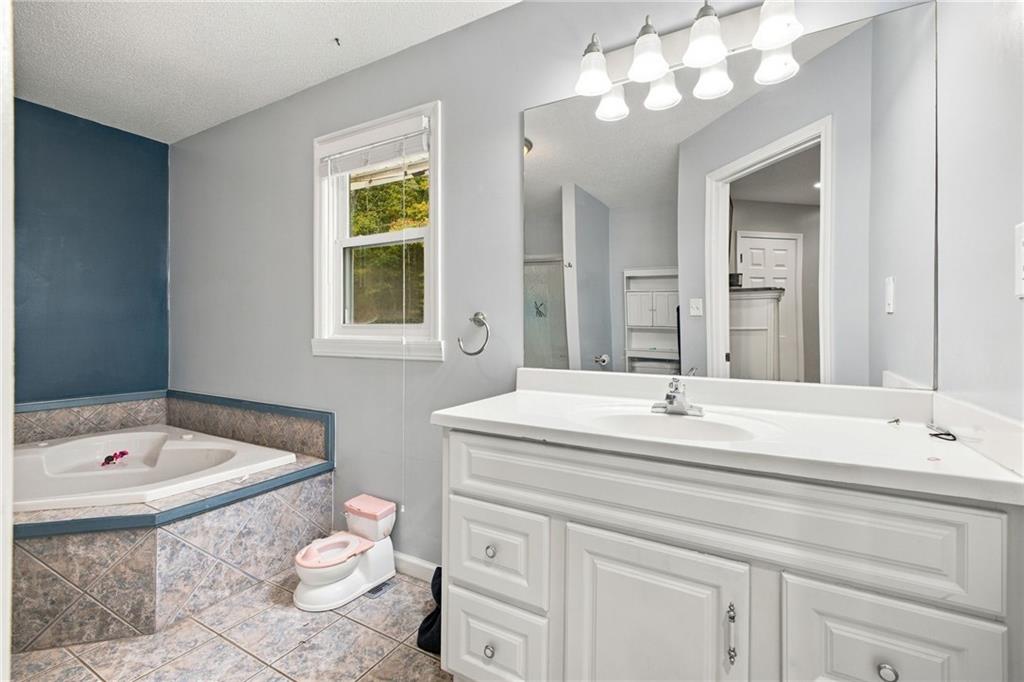 50 Pond Mill Court Silver Creek GA 30173