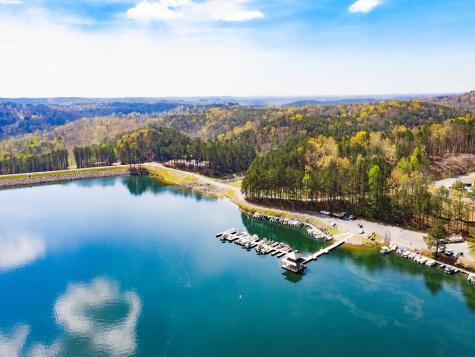 114 Ft Gibson Court Waleska GA 30183