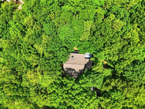 278 Bellflower Drive Jasper GA 30143