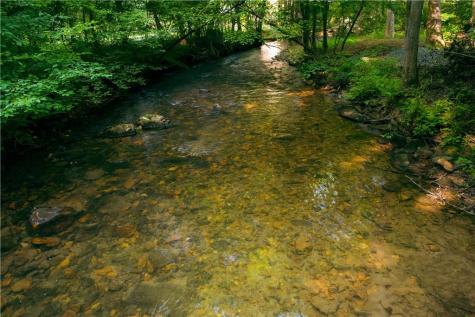 184 Rockhouse Road Cherry Log GA 30522