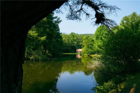 184 Rockhouse Road Cherry Log GA 30522