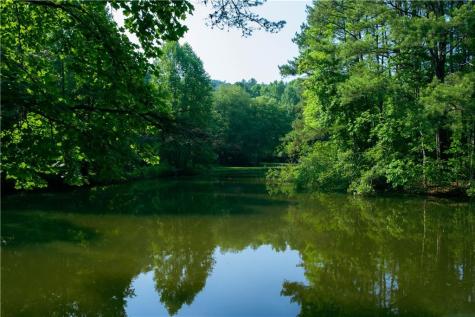 184 Rockhouse Road Cherry Log GA 30522