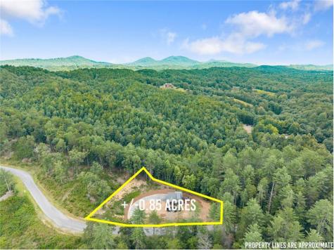 184 Mountain Laurel Ridge Mineral Bluff GA 30559