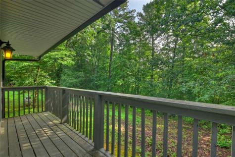 387 Ruby Lane Mineral Bluff GA 30559
