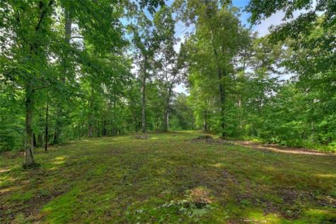 387 Ruby Lane Mineral Bluff GA 30559