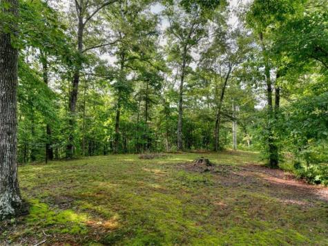 387 Ruby Lane Mineral Bluff GA 30559