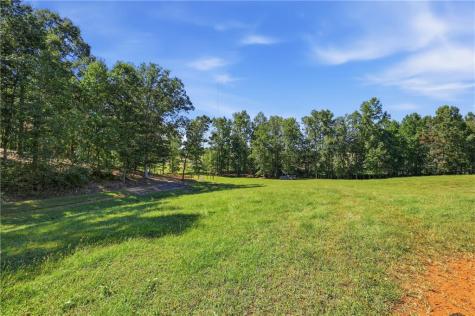 1133 Ricky West Road Cleveland GA 30528