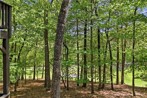 67 Chestnut Knoll Court Jasper GA 30143