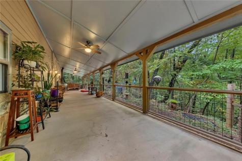 185 Sassafras Drive Mineral Bluff GA 30559