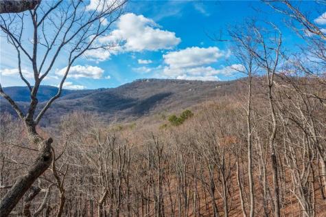 100 Indian Pipe Drive Jasper GA 30143