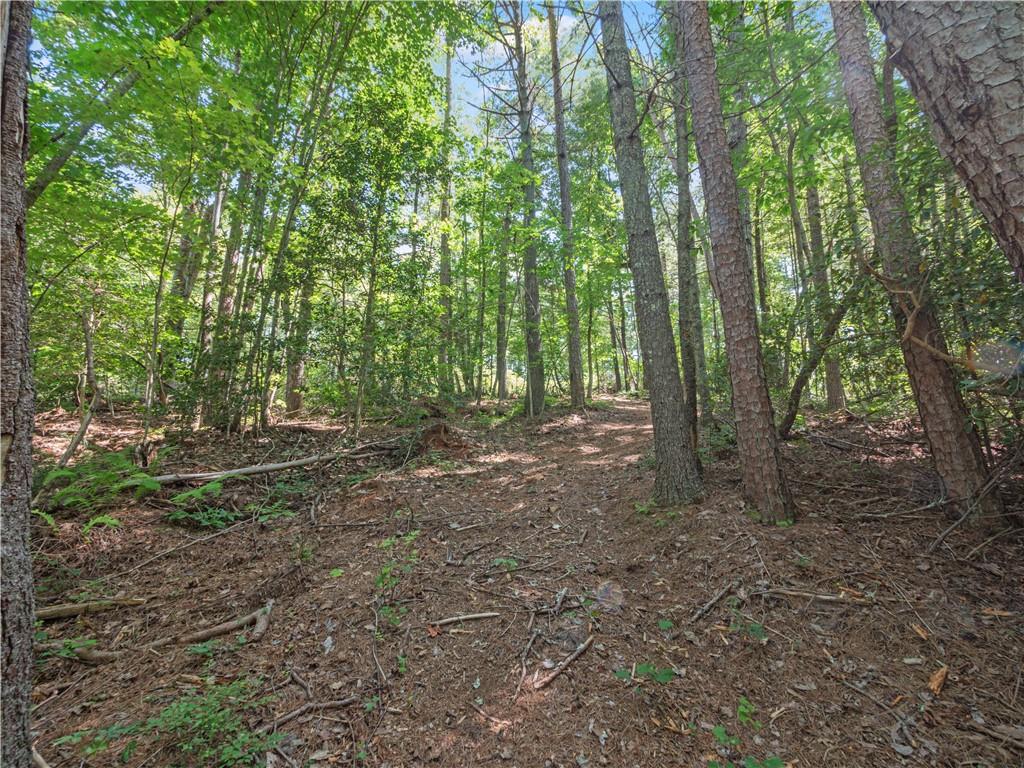 5082 Highway 197 N Clarkesville GA 30523