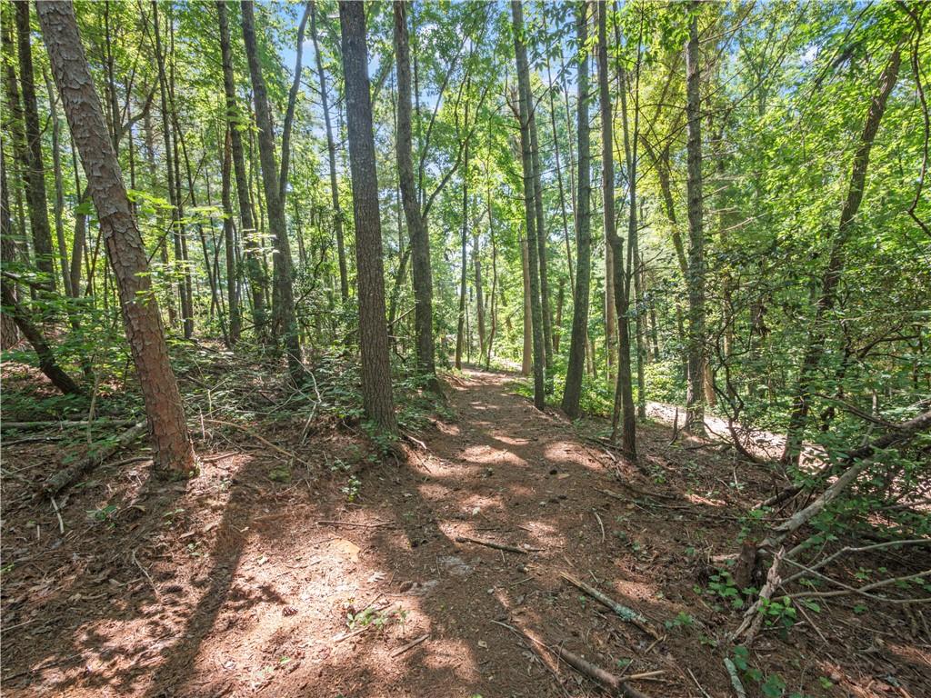 5082 Highway 197 N Clarkesville GA 30523