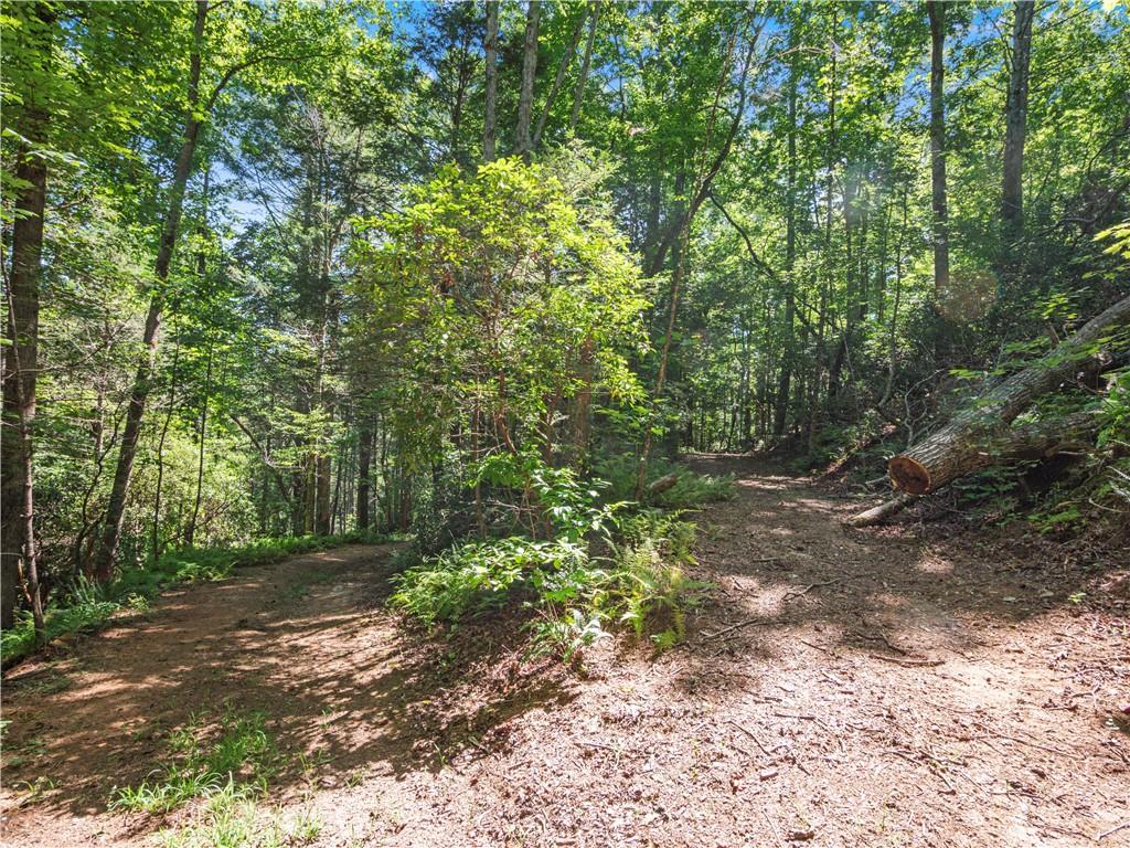 5082 Highway 197 N Clarkesville GA 30523