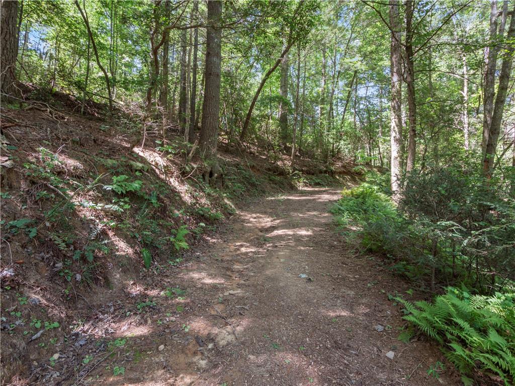 5082 Highway 197 N Clarkesville GA 30523