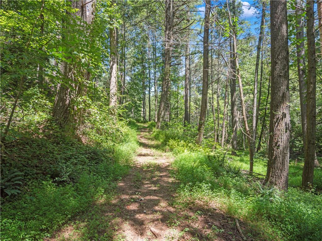 5082 Highway 197 N Clarkesville GA 30523