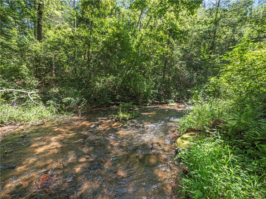 5082 Highway 197 N Clarkesville GA 30523