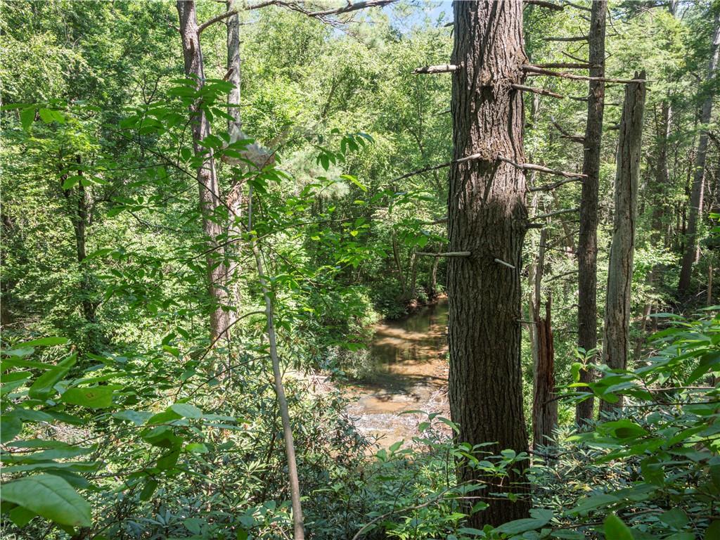 5082 Highway 197 N Clarkesville GA 30523