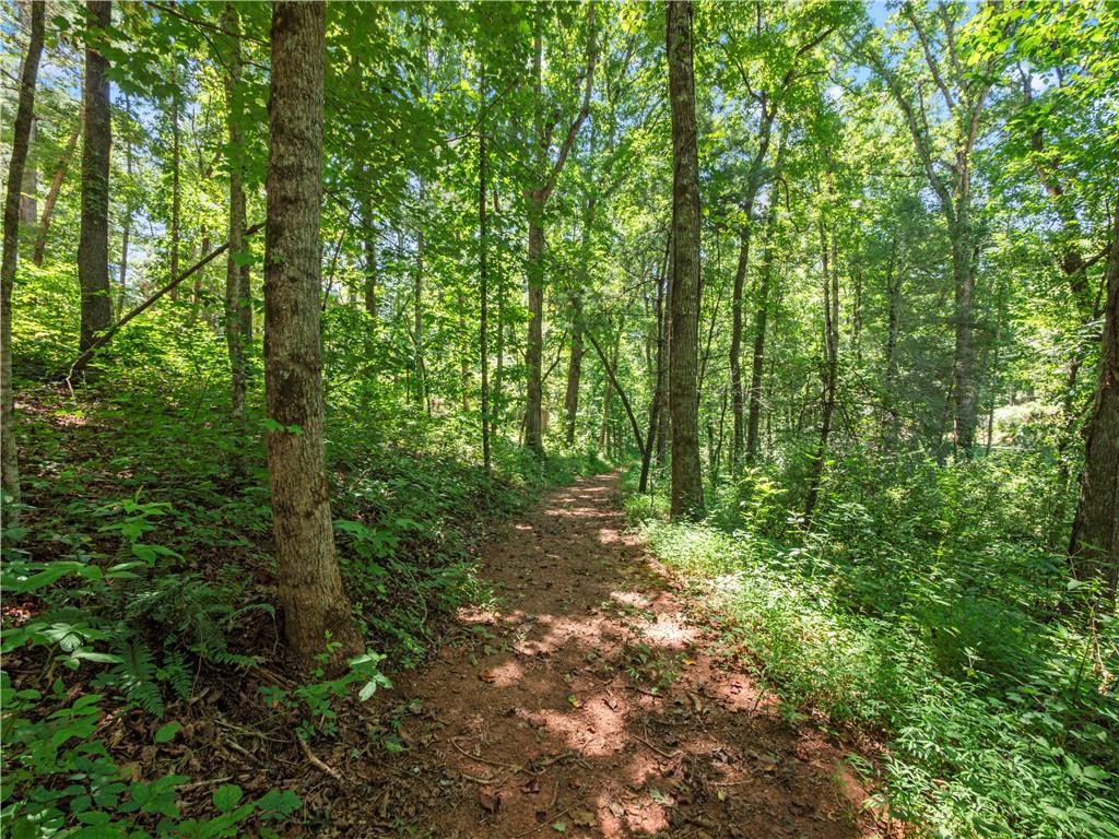 5082 Highway 197 N Clarkesville GA 30523