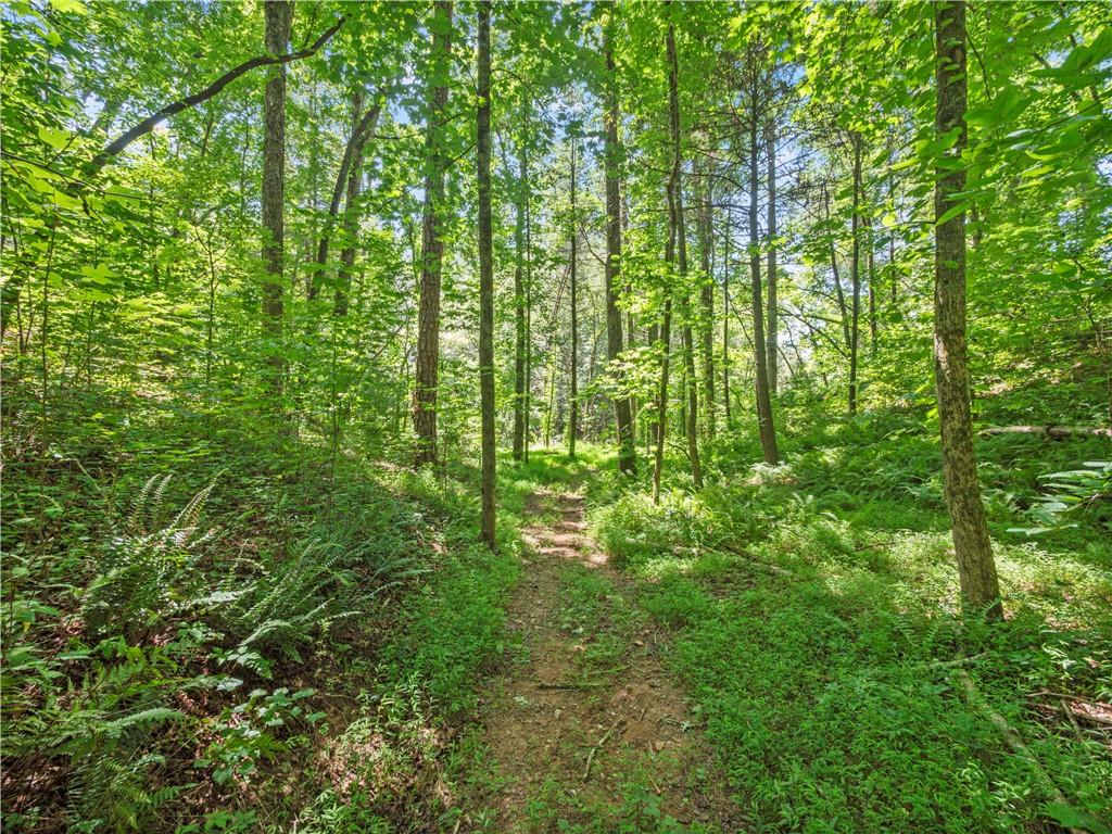 5082 Highway 197 N Clarkesville GA 30523