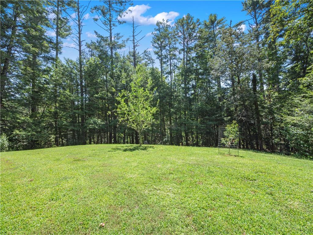 5082 Highway 197 N Clarkesville GA 30523
