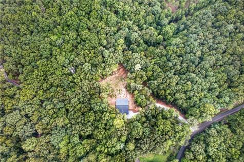 1030 Old Flat Branch Ellijay GA 30540