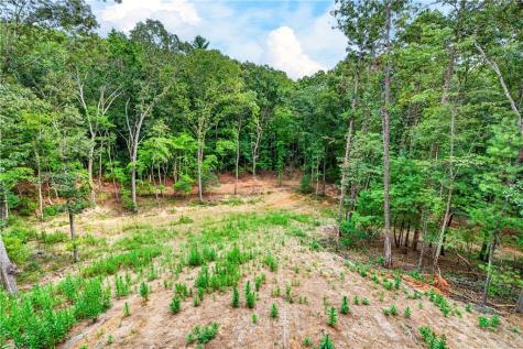 1030 Old Flat Branch Ellijay GA 30540