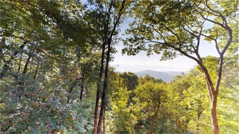 398 Mountain View Road Ellijay GA 30540