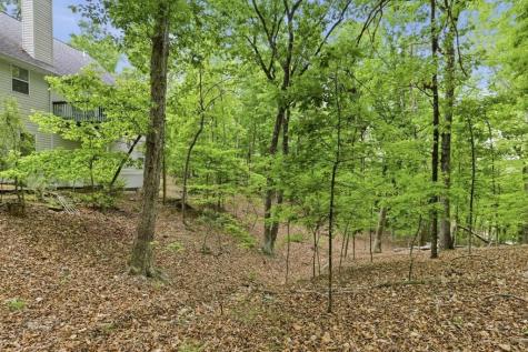1077 Panorama Drive Sautee Nacoochee GA 30571