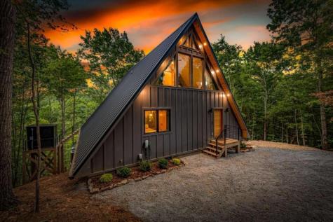 687 Left Turn Blue Ridge GA 30513