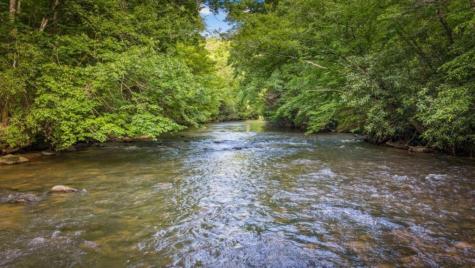 60 Magnolia Trail Mccaysville GA 30555
