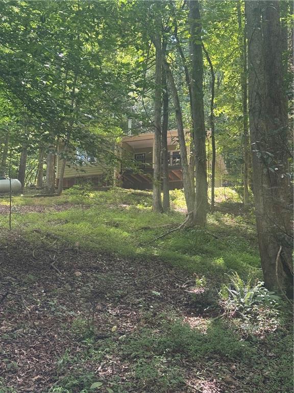 195 Chestatee Drive Dahlonega GA 30533