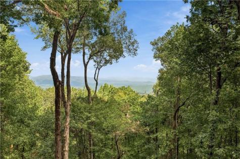 411 Sanderlin Mountain Drive S Big Canoe GA 30143