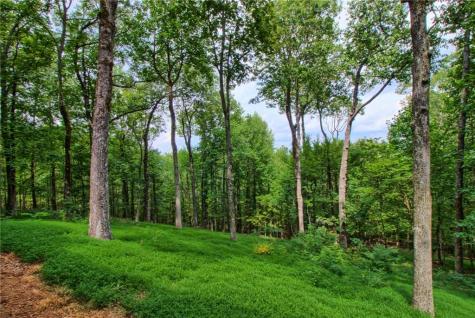 411 Sanderlin Mountain Drive S Big Canoe GA 30143