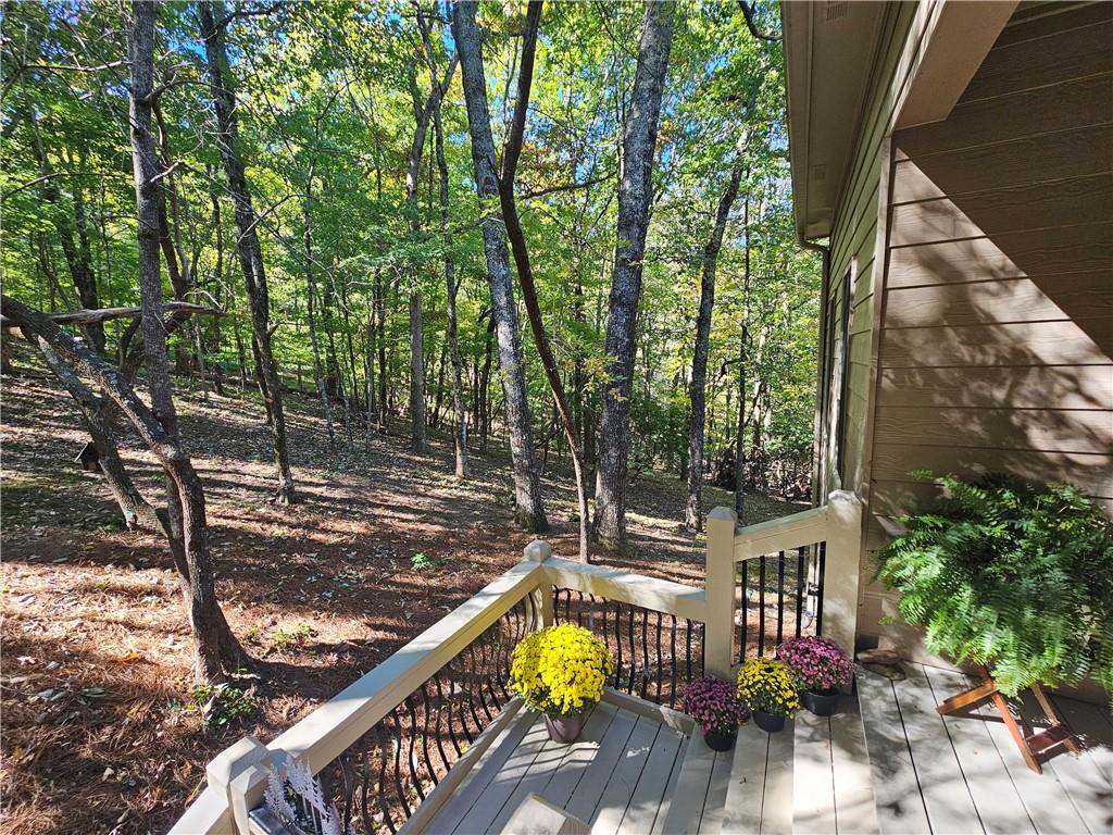77 Raccoon Run Lane Jasper GA 30143