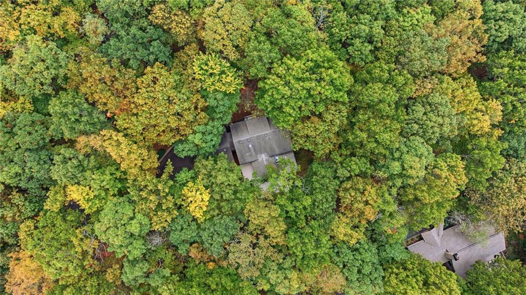77 Raccoon Run Lane Jasper GA 30143
