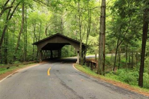 77 Raccoon Run Lane Big Canoe GA 30143