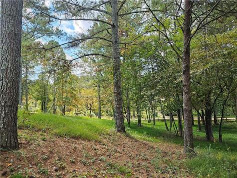91 Sunrise Lane Ellijay GA 30540