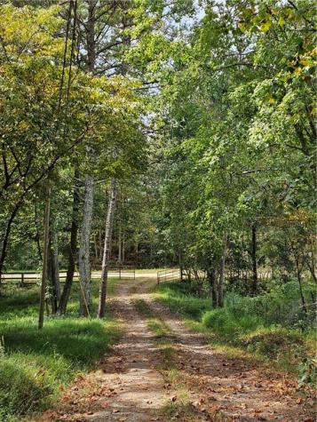 91 Sunrise Lane Ellijay GA 30540