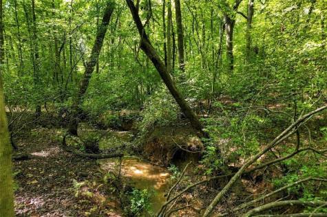 84 Barker Trail Road Cleveland GA 30528