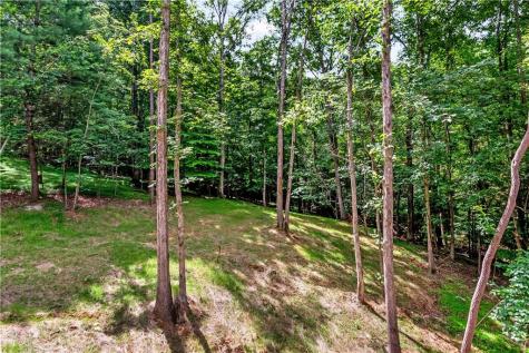 209 Pinecrest Court Ellijay GA 30540
