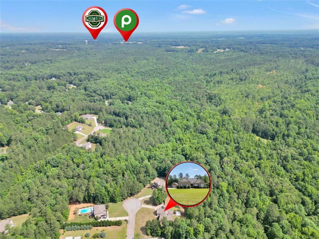 205 Arborview Drive Mcdonough GA 30252