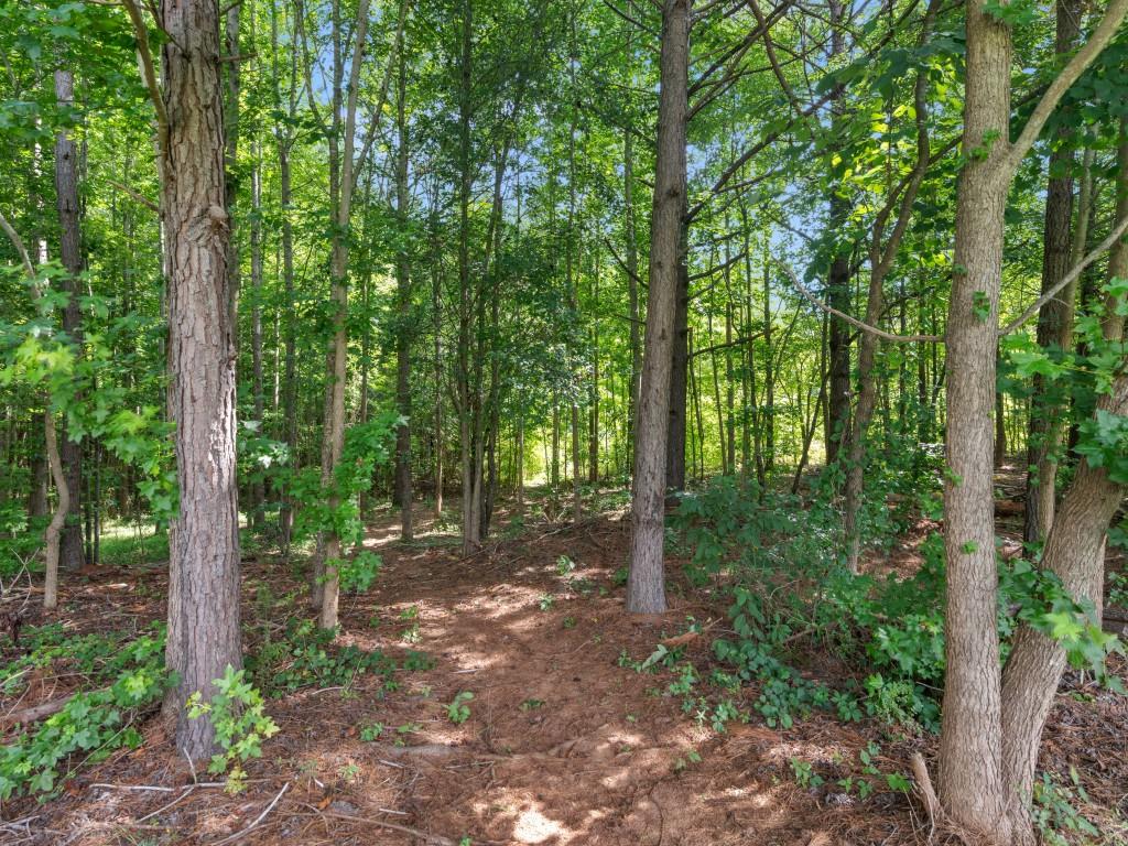 145 Michael Lane Mcdonough GA 30252