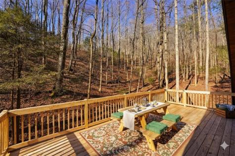 172 Sweetwater Road Blue Ridge GA 30513