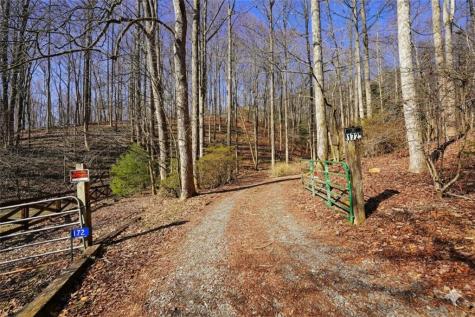 172 Sweetwater Road Blue Ridge GA 30513