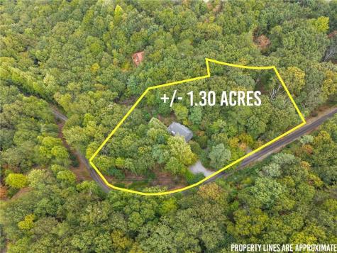 62 High Ridge Cleveland GA 30528