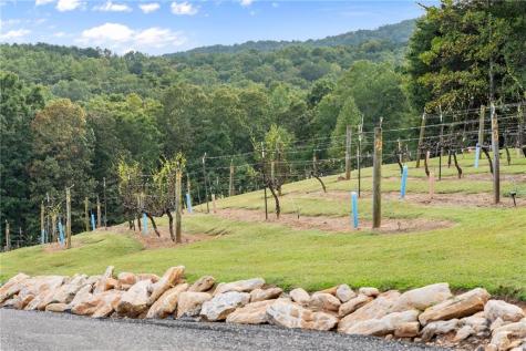 62 High Ridge Cleveland GA 30528