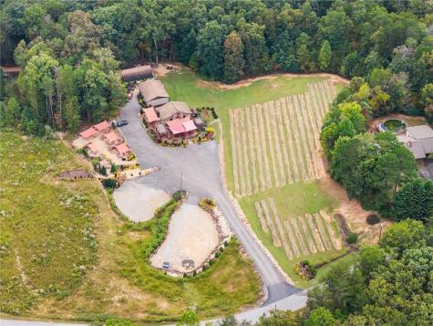 62 High Ridge Cleveland GA 30528