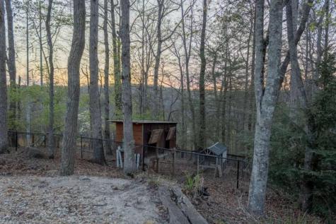 141 Chambers Mountain Mineral Bluff GA 30559